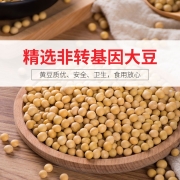 李锦记 酱油 锦珍生抽 味鲜凉拌蘸点 1.65L