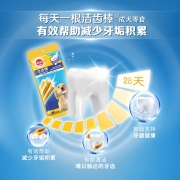 宝路狗零食大型犬成犬洁齿棒125g*12包狗狗磨牙棒金毛哈士奇拉布拉多萨摩耶