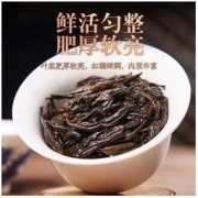 中广德盛 武夷山大红袍茶叶正宗2021新茶浓香型红茶小袋装