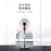 格力（GREE）五叶家用落地扇/节能广角摇头电风扇/大风量立式定时电扇/一级能效风扇（FD-4010-WG）