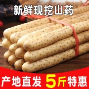 京东极速版：铁棍山药 3斤装