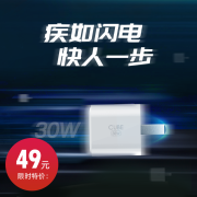 ifory 安福瑞33W\/30W氮化镓27W10W20W18W苹果PD快充充电头器iPhone13 30W白色【氮化镓】
