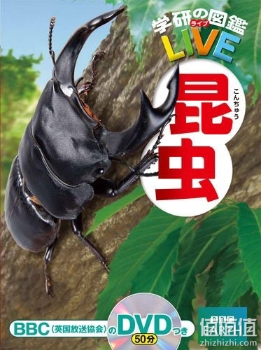 如何选择昆虫类图书？昆虫类图书选购指南