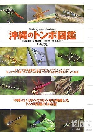 如何选择昆虫类图书？昆虫类图书选购指南