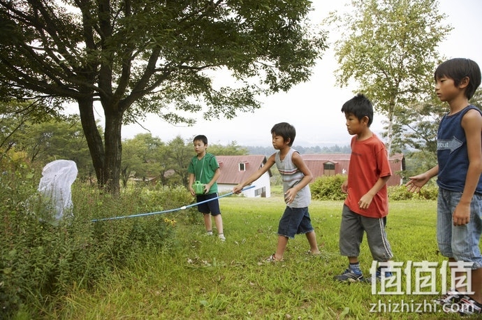 如何选择昆虫类图书？昆虫类图书选购指南