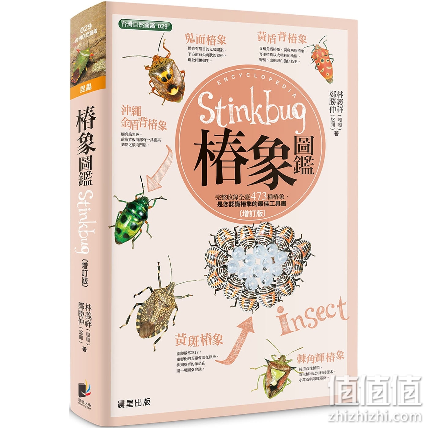 椿象图鉴 增订版 港台原版 林义祥 郑胜仲 晨星