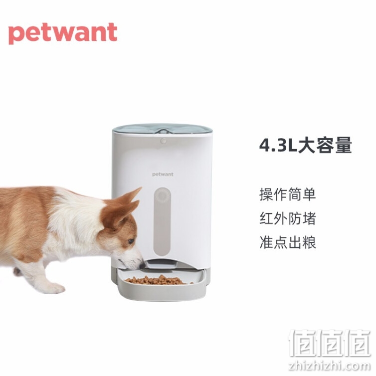 派旺（PETWANT）宠物自动喂食器猫咪狗狗粮盆吃饭神器定时定量自动投食器PF-102 4.3L