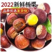 2022新鲜板栗生板栗3斤净重野生栗子单果12g
