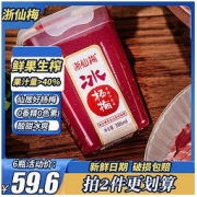 浙仙梅 杨梅汁冰杨梅汁仙居特产网红纯果蔬汁6瓶酸梅汤商用批发