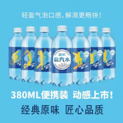 YANZHONG 延中 经典原味盐汽水饮料 380ml*12瓶
