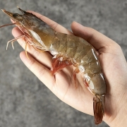 正大食品（CP）白对虾 1.4kg 特大型号21/25 29-35只 生鲜水产