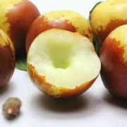 水果蔬菜 陕西大荔冬枣  净重1斤