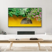 乐视电视（Letv） F55A 腾讯云游戏合作款 55英寸 智慧屏 4K全面屏 8K视频解码 四核强悍处理器 平板液晶电视