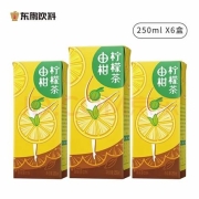 京东特价app：DONGPENG 东鹏 由柑柠檬茶 250ML*6盒