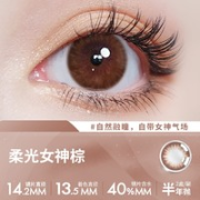 ELLE 她 软性亲水接触镜 半年抛 2片装