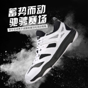 李宁羽毛球鞋 男子运动鞋 减震耐磨防滑体育比赛训练鞋AYTM019