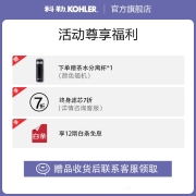 科勒（KOHLER） 台式加热净水器家用即热式饮水机家用净饮一体机直饮机 RO反渗透过滤免安装 净热一体机