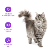 自然光环(Halo) 纯鲜肉成猫粮 美国进口宠物猫咪猫干粮 健美系列鱼肉口味10磅