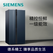 西门子（SIEMENS）630升对开门变频无霜恒鲜冰箱 家用大容量囤货 玻璃面板（湖蕴蓝）以旧换新 KX63ES56TI
