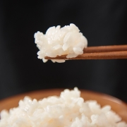 PLUS会员：农夫山泉 东北香米 新鲜大米 净含量2.5斤*4件