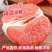 盒马鲜生 福建平和琯溪蜜柚红心柚 8.5斤/3个装