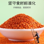 银京 辣椒粉40g 辣椒面烧烤料烤肉腌肉撒料 香辛料火锅蘸料厨房调味品
