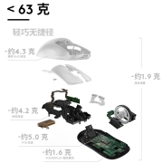 罗技（G） PRO WIRELESS无线游戏鼠标 狗屁王一代gpw二代2代电竞充电吃鸡轻量化宏编程 GPW二代白