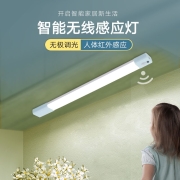 【鸿视】网红楼梯灯壁灯夜间自动无线下床人体感应灯家用过道智能充电雷达长条 260mm充电白光+数据线
