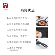 双立人（ZWILLING）平底锅不粘煎锅 煎鸡蛋锅牛排煎锅煎饼锅油炸锅小锅 motionL系列20cm 66639-200-922