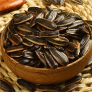 京东特价APP：惠寻 焦糖味瓜子 500g