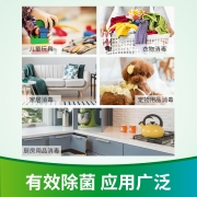 净安（Cleafe）季铵盐   消毒液 1L 衣物居家室内杀菌 地板消毒 宠物环境消毒  杀菌率99.999%