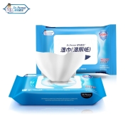 Dr.Parmar 帊玛医生 湿厕纸 40片*5包