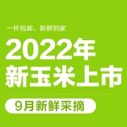 十月稻田（SHIYUEDAOTIAN） 【2022年新玉米】 五常鲜食玉米 甜糯玉米 轻食 真空装 220g*10根