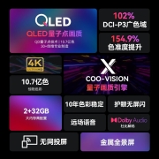 酷开（coocaa） 创维电视P53 55英寸 QLED量子点高色域 4K超清全面屏电视机 智能电视 P53