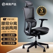 【推荐】网易严选 小蛮腰双背人体工学转椅 坐躺两用撑腰护颈 高弹网面可调节滑动 电脑椅办公椅电竞椅子 【经典款】黑色