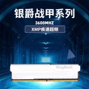 金百达（KINGBANK）8GB DDR4 3600 台式机内存 银爵系列
