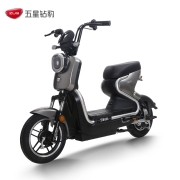 20点开始：五星钻豹 B6 新国标电动车 TDT27Z