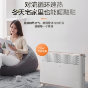 美的（Midea）“大白”取暖器/电暖器/电暖气家用/浴室取暖器/节能轻音/防水速热/欧式快热炉HDY20K
