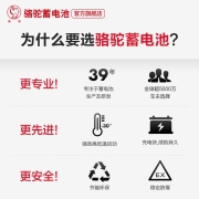 【官方电子质保】骆驼(CAMEL)汽车电瓶12V免维护铅酸蓄电池 以旧换新 上门安装 6-QW-45 本田/长安/东风/福汽