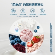 禾泱泱  宝宝零食 酸奶溶豆 蓝莓味 入口易化  1盒装18g