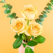 plus会员：花点时间  玫瑰3枝+尤加利2枝迷你桌花 颜色随机
