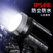 飞利浦(PHILIPS)手电筒强光远射超亮多功能停电便携充电手提探照灯家用户外夜钓矿灯应急灯SFL3101黑灰色L