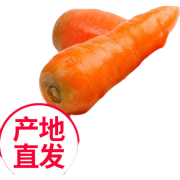 京东极速版：沙地新鲜胡萝卜 5斤