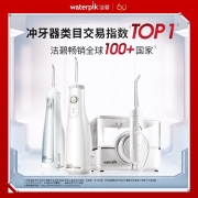 洁碧（Waterpik） 立式手持电动冲牙器洗牙器水牙线洁牙机 预防牙结石正畸适用 全身水洗极光系列GS5 蓝