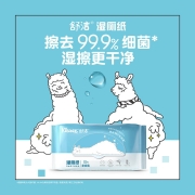 舒洁（Kleenex）湿厕纸羊驼湿厕纸 旅行装（便携装）10片*10包 擦除99.9%细菌 清洁湿纸巾湿巾 擦屁屁专用