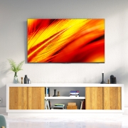 FFALCON TCL雷鸟电视机75R645C 75英寸4K量子点120Hz游戏电视HDMI2.1