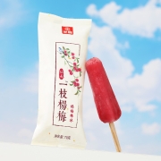 光明 仙居一枝杨梅棒冰 70g*5支 杨梅冰红嫩多汁真实果肉清凉爽口冷饮冰淇淋冰激凌
