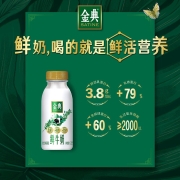 伊利金典鲜牛奶全脂巴氏杀菌新鲜低温牛奶营养早餐奶235ml*8瓶装