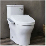 百亿补贴：TOTO 东陶 智能马桶隐藏管线新超漩节水智能盖板CW802+TCF8132