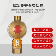 潜水艇（Submarine）RB1/2F-1/2M燃气自闭阀家用天然气管道阀门 四分内丝+外丝自闭阀